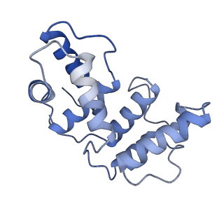 17854_8psk_B_v1-0
Asymmetric unit of the yeast fatty acid synthase in the non-rotated state with ACP at the ketosynthase domain (FASx sample)