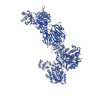 17854_8psk_G_v1-0
Asymmetric unit of the yeast fatty acid synthase in the non-rotated state with ACP at the ketosynthase domain (FASx sample)