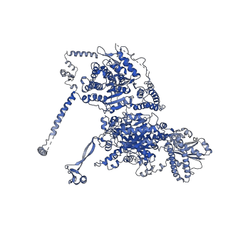 17855_8psl_A_v1-0
Asymmetric unit of the yeast fatty acid synthase in the semi non-rotated state with ACP at the ketosynthase domain (FASx sample)