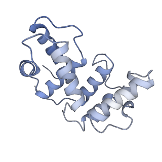 17855_8psl_B_v1-0
Asymmetric unit of the yeast fatty acid synthase in the semi non-rotated state with ACP at the ketosynthase domain (FASx sample)