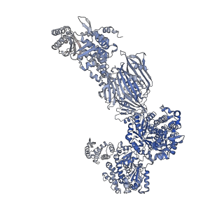 17855_8psl_G_v1-0
Asymmetric unit of the yeast fatty acid synthase in the semi non-rotated state with ACP at the ketosynthase domain (FASx sample)
