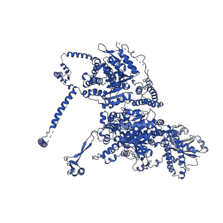 17856_8psm_A_v1-0
Asymmetric unit of the yeast fatty acid synthase in the non-rotated state with ACP at the malonyl/palmitoyl transferase domain (FASx sample)