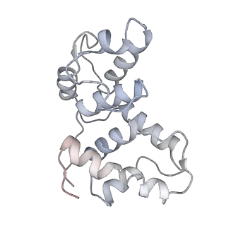 17856_8psm_B_v1-0
Asymmetric unit of the yeast fatty acid synthase in the non-rotated state with ACP at the malonyl/palmitoyl transferase domain (FASx sample)
