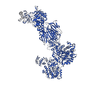 17856_8psm_G_v1-0
Asymmetric unit of the yeast fatty acid synthase in the non-rotated state with ACP at the malonyl/palmitoyl transferase domain (FASx sample)