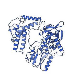17857_8psn_B_v1-0
Tilapia Lake Virus polymerase in vRNA initiation state (transcriptase conformation)