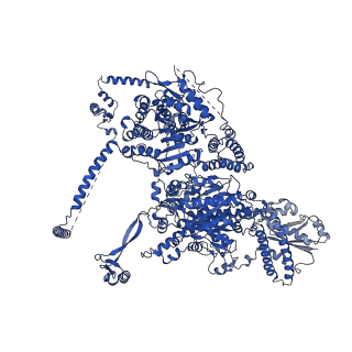 17859_8psp_A_v1-0
Asymmetric unit of the yeast fatty acid synthase in rotated state with ACP at the acetyl transferase domain (FASx sample)