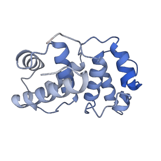 17859_8psp_B_v1-0
Asymmetric unit of the yeast fatty acid synthase in rotated state with ACP at the acetyl transferase domain (FASx sample)
