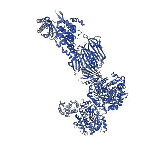 17859_8psp_G_v1-0
Asymmetric unit of the yeast fatty acid synthase in rotated state with ACP at the acetyl transferase domain (FASx sample)
