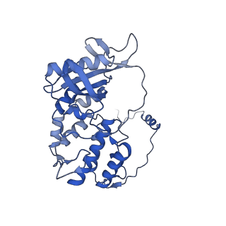 17860_8psq_A_v1-0
Tilapia Lake Virus polymerase in cRNA pre-initiation state mode A (core only)