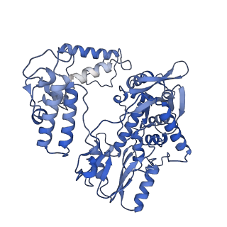 17860_8psq_B_v1-0
Tilapia Lake Virus polymerase in cRNA pre-initiation state mode A (core only)