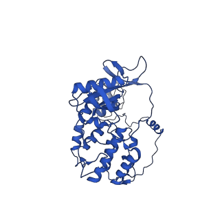 17861_8pss_A_v1-0
Tilapia Lake Virus polymerase in cRNA pre-initiation state mode B (core-endo only)