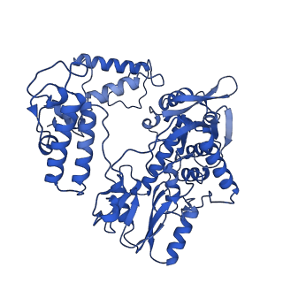 17861_8pss_B_v1-0
Tilapia Lake Virus polymerase in cRNA pre-initiation state mode B (core-endo only)