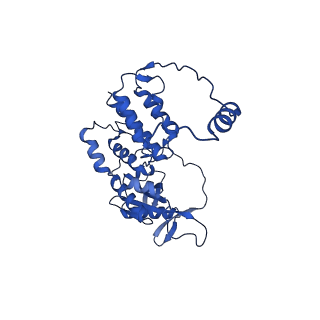 17862_8psu_A_v1-0
Tilapia Lake Virus polymerase in vRNA pre-initiation state mode A (core only)