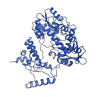 17862_8psu_B_v1-0
Tilapia Lake Virus polymerase in vRNA pre-initiation state mode A (core only)