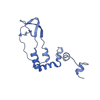 17862_8psu_C_v1-0
Tilapia Lake Virus polymerase in vRNA pre-initiation state mode A (core only)