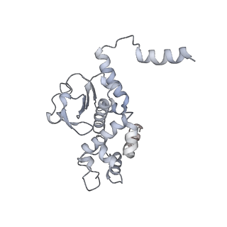 20459_6psn_L_v1-1
Anthrax toxin protective antigen channels bound to lethal factor