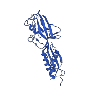 20460_6psq_G_v1-1
Escherichia coli RNA polymerase closed complex (TRPc) with TraR and rpsT P2 promoter