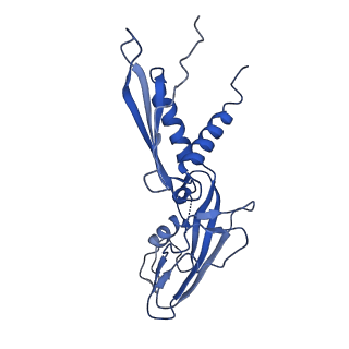 20460_6psq_H_v1-1
Escherichia coli RNA polymerase closed complex (TRPc) with TraR and rpsT P2 promoter