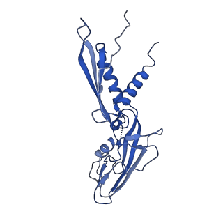 20460_6psq_H_v1-2
Escherichia coli RNA polymerase closed complex (TRPc) with TraR and rpsT P2 promoter