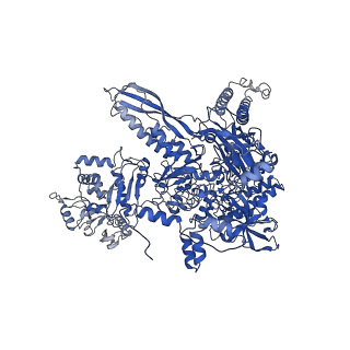20460_6psq_I_v1-1
Escherichia coli RNA polymerase closed complex (TRPc) with TraR and rpsT P2 promoter