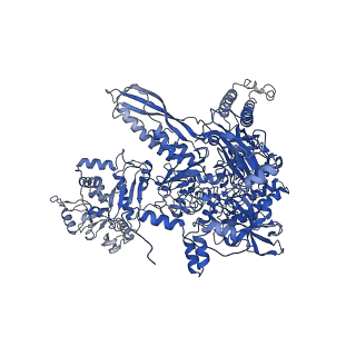 20460_6psq_I_v1-2
Escherichia coli RNA polymerase closed complex (TRPc) with TraR and rpsT P2 promoter