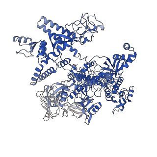 20460_6psq_J_v1-1
Escherichia coli RNA polymerase closed complex (TRPc) with TraR and rpsT P2 promoter