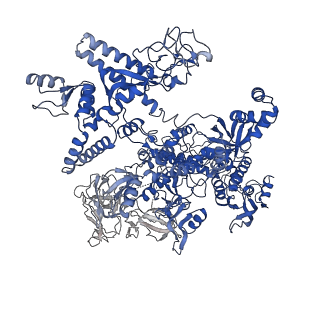 20460_6psq_J_v1-2
Escherichia coli RNA polymerase closed complex (TRPc) with TraR and rpsT P2 promoter