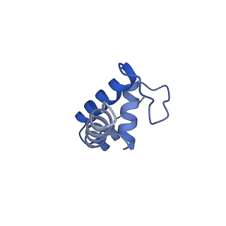 20460_6psq_K_v1-1
Escherichia coli RNA polymerase closed complex (TRPc) with TraR and rpsT P2 promoter