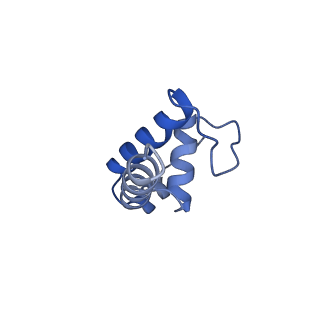 20460_6psq_K_v1-2
Escherichia coli RNA polymerase closed complex (TRPc) with TraR and rpsT P2 promoter