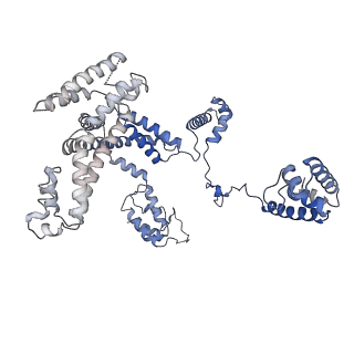20460_6psq_L_v1-1
Escherichia coli RNA polymerase closed complex (TRPc) with TraR and rpsT P2 promoter