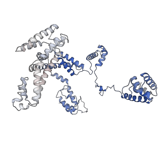 20460_6psq_L_v1-2
Escherichia coli RNA polymerase closed complex (TRPc) with TraR and rpsT P2 promoter