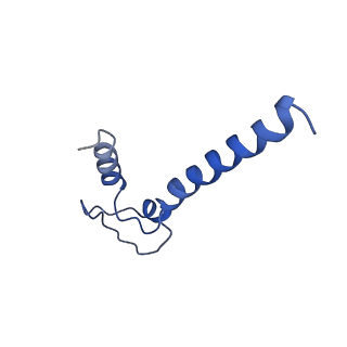20460_6psq_N_v1-1
Escherichia coli RNA polymerase closed complex (TRPc) with TraR and rpsT P2 promoter