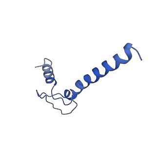 20460_6psq_N_v1-2
Escherichia coli RNA polymerase closed complex (TRPc) with TraR and rpsT P2 promoter