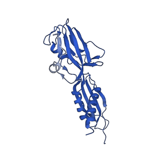 20461_6psr_G_v1-1
Escherichia coli RNA polymerase promoter unwinding intermediate (TRPi1) with TraR and rpsT P2 promoter