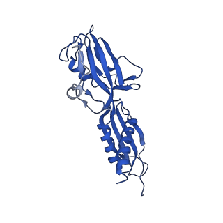 20461_6psr_G_v1-2
Escherichia coli RNA polymerase promoter unwinding intermediate (TRPi1) with TraR and rpsT P2 promoter