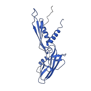 20461_6psr_H_v1-1
Escherichia coli RNA polymerase promoter unwinding intermediate (TRPi1) with TraR and rpsT P2 promoter