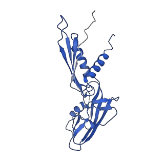 20461_6psr_H_v1-2
Escherichia coli RNA polymerase promoter unwinding intermediate (TRPi1) with TraR and rpsT P2 promoter