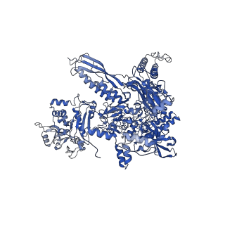 20461_6psr_I_v1-1
Escherichia coli RNA polymerase promoter unwinding intermediate (TRPi1) with TraR and rpsT P2 promoter