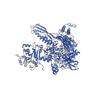 20461_6psr_I_v1-2
Escherichia coli RNA polymerase promoter unwinding intermediate (TRPi1) with TraR and rpsT P2 promoter