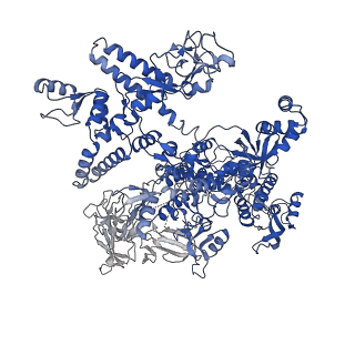 20461_6psr_J_v1-1
Escherichia coli RNA polymerase promoter unwinding intermediate (TRPi1) with TraR and rpsT P2 promoter