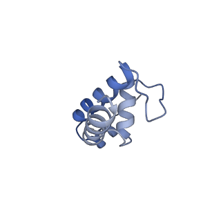 20461_6psr_K_v1-1
Escherichia coli RNA polymerase promoter unwinding intermediate (TRPi1) with TraR and rpsT P2 promoter
