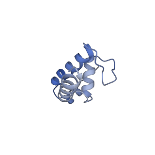 20461_6psr_K_v1-2
Escherichia coli RNA polymerase promoter unwinding intermediate (TRPi1) with TraR and rpsT P2 promoter