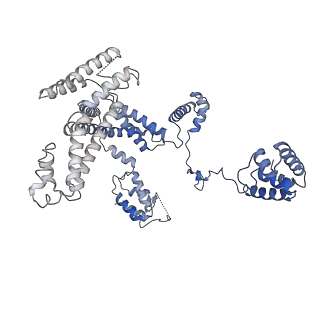 20461_6psr_L_v1-2
Escherichia coli RNA polymerase promoter unwinding intermediate (TRPi1) with TraR and rpsT P2 promoter