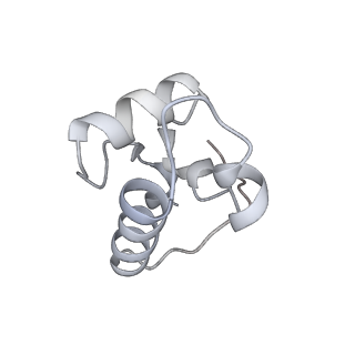 20461_6psr_M_v1-2
Escherichia coli RNA polymerase promoter unwinding intermediate (TRPi1) with TraR and rpsT P2 promoter