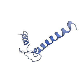 20461_6psr_N_v1-1
Escherichia coli RNA polymerase promoter unwinding intermediate (TRPi1) with TraR and rpsT P2 promoter