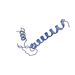 20461_6psr_N_v1-2
Escherichia coli RNA polymerase promoter unwinding intermediate (TRPi1) with TraR and rpsT P2 promoter