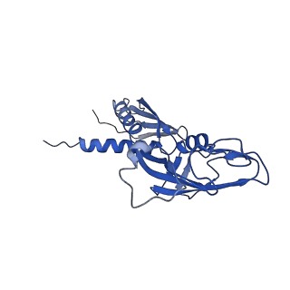 20462_6pss_G_v1-2
Escherichia coli RNA polymerase promoter unwinding intermediate (TRPi1.5a) with TraR and mutant rpsT P2 promoter