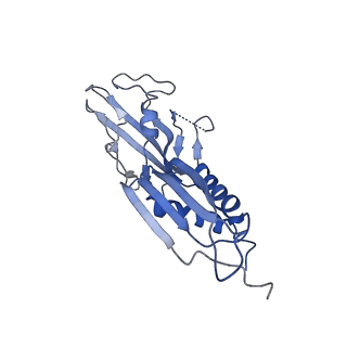 20462_6pss_H_v1-1
Escherichia coli RNA polymerase promoter unwinding intermediate (TRPi1.5a) with TraR and mutant rpsT P2 promoter
