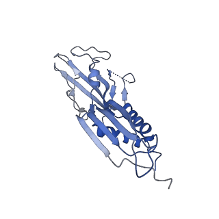 20462_6pss_H_v1-2
Escherichia coli RNA polymerase promoter unwinding intermediate (TRPi1.5a) with TraR and mutant rpsT P2 promoter