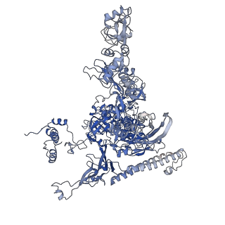 20462_6pss_I_v1-1
Escherichia coli RNA polymerase promoter unwinding intermediate (TRPi1.5a) with TraR and mutant rpsT P2 promoter
